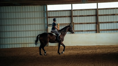 穿黑夹克的人骑着棕色的马